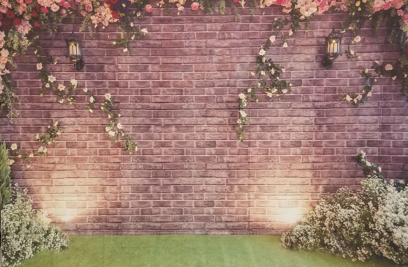 small backdrop #10